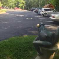 <p>One of the decorative frogs keeps an eye on the expanded parking lot. </p>