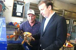 Darien Lobsterman Calls For End To Pesticide Use To Restore The Industry