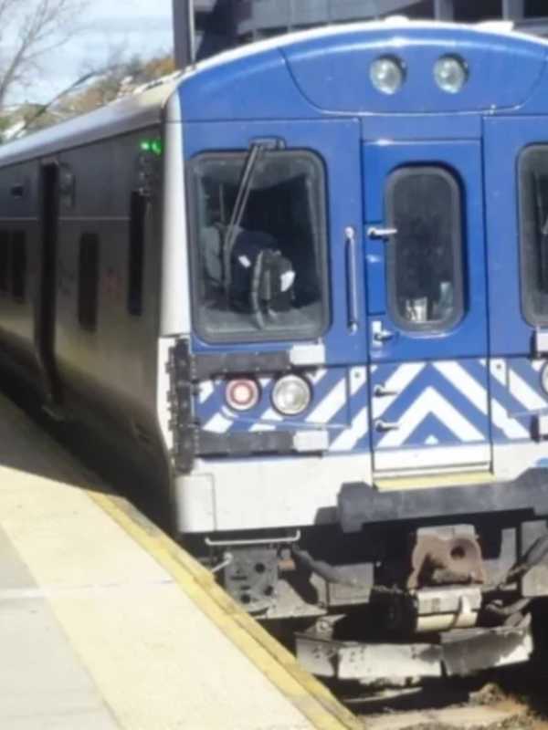 Man Spotted On Metro-North Hudson Line Tracks In Police Custody 