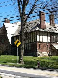 Pocantico Hills Students Capture Wildlife On Cameras For Study