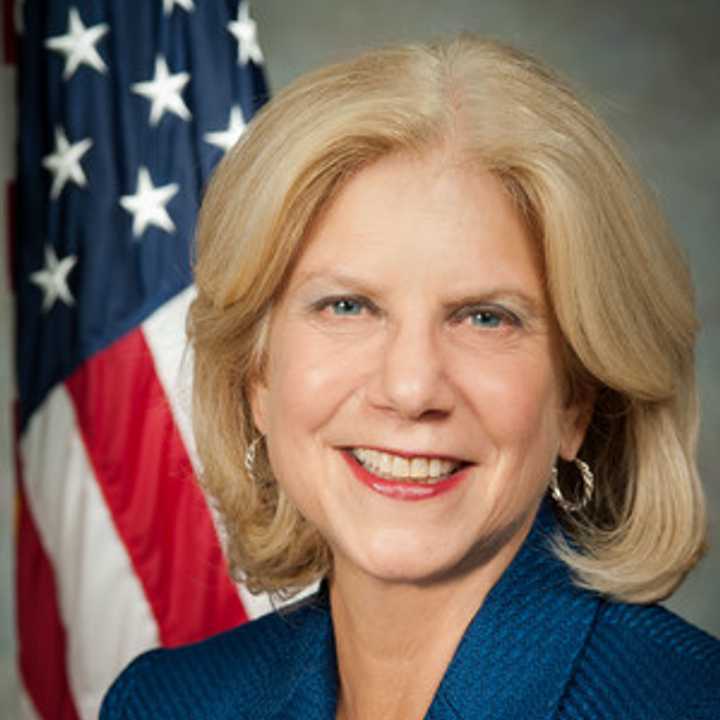 Sen. Shelley Mayer