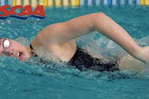 Pace Swimming, Diving Teams Excel In Pool, Classroom