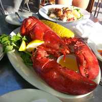 <p>It&#x27;s all about lobster at Lobster Post in Fairfield.</p>