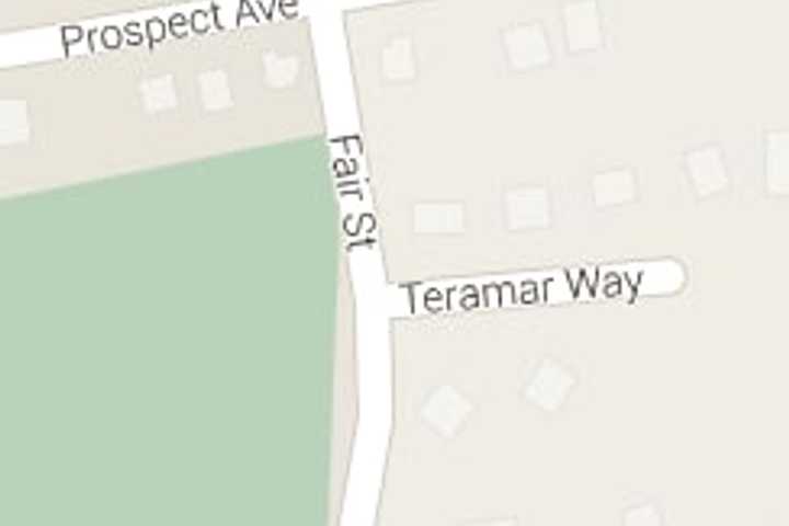 Mason Struck, Killed By His Own Van In Greenburgh