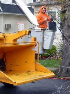 Strong Wind Gusts Could Bring Down Power Lines In Dutchess