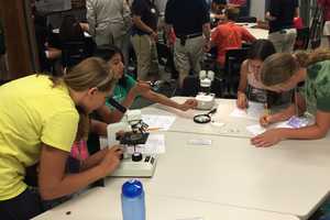 Norwalk Kids Plunge Into Marine World At Maritime Aquarium Camp