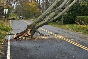 Darien Cancels Halloween As It Preps For Second Storm