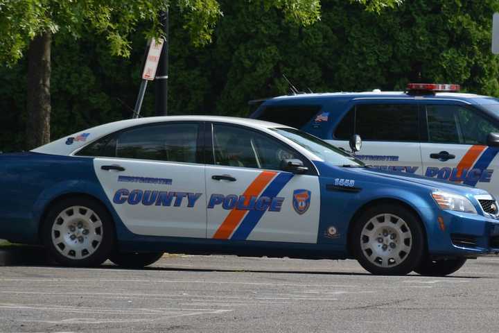 Siblings' Fight Over Ice Cream Among Mount Kisco Police Calls
