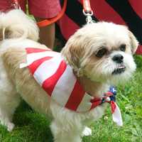 <p>The Darien VFW hosts the 11th annual Fourth of July Push-n-Pull Parade Saturday morning.</p>