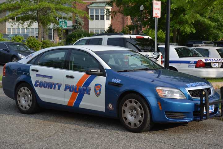 Bail Hoax, Missing Wallet With $1,000 Top Mount Kisco Police Report