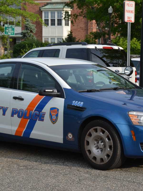 Alleged Choking, Drunk Man Lying On Road Among Mount Kisco Police Reports