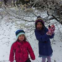 <p>Sisters Charlotte and Isabel Torgerson enjoyed Wednesday&#x27;s snowfall at the New Canaan Nature Center. </p>