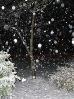 Stamford, Send Us Your Photos Of This Weekend's Winter Storm