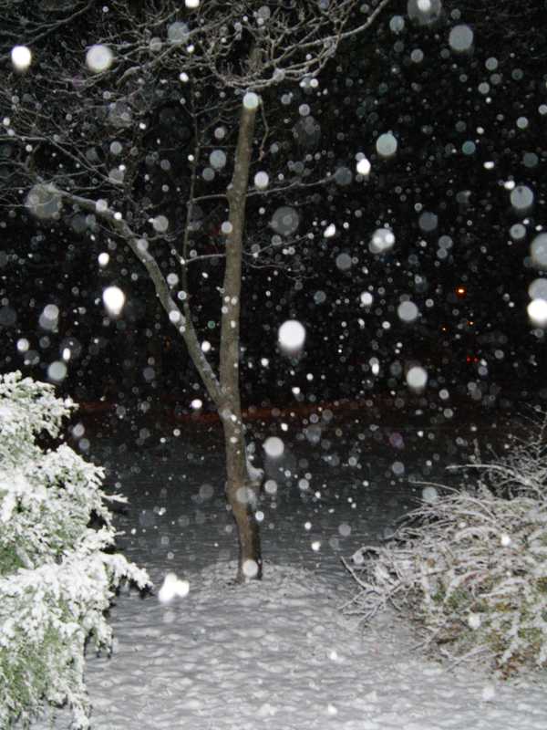 Stamford, Send Us Your Photos Of This Weekend's Winter Storm