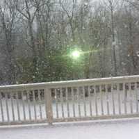 <p>Reader Hayate Jandar of New Canaan took this photo on Wednesday. </p>