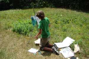 Express Yourself: Celebrate Your Inner Artist In Weir Farm Art Contest