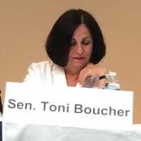 <p>Sen. Toni Boucher </p>