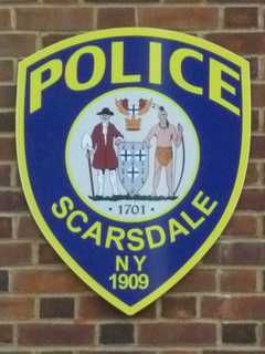 Fallen Tree Smashes Car In Scarsdale