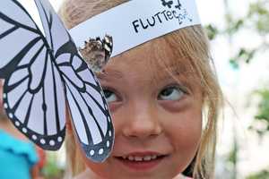 Butterfly Exhibit Flutters Into Norwalk's Maritime Aquarium For Summer