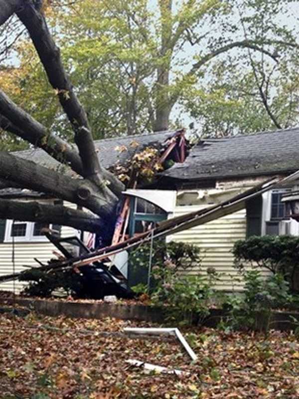 Bedford Hills Lions Club Offers Disaster Preparedness Training