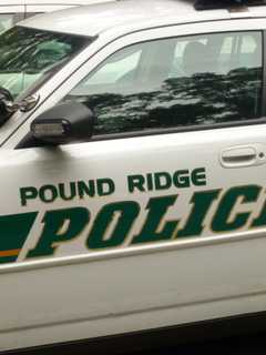 White Plains Woman Charged With Stealing $30K In Jewelry In Pound Ridge