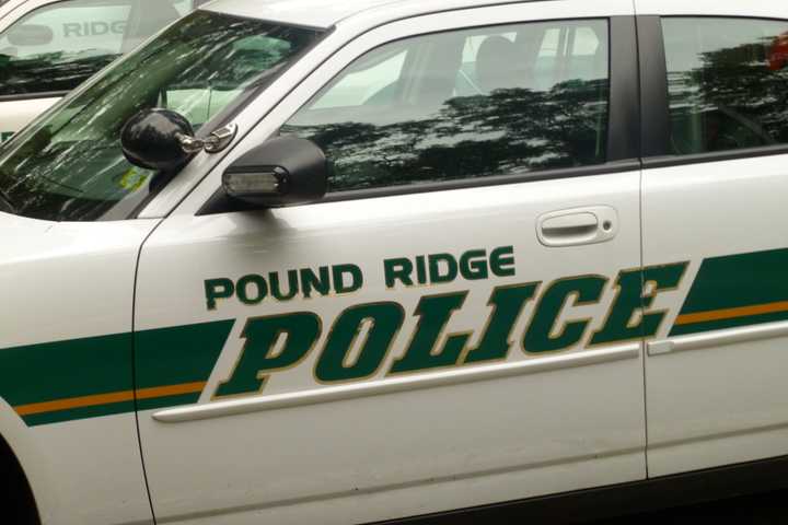 Home-Health Aide Accused Of Stealing Money From Elderly Pound Ridge Patient