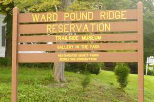 Enjoy Friends Of Trailside Museum's Firefly Festival In Cross River