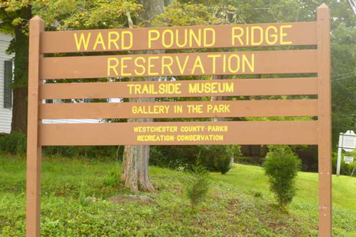 Enjoy Friends Of Trailside Museum's Firefly Festival In Cross River