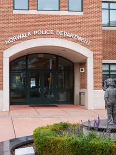 Pit Bull Attack Injures Pair Of Cocker Spaniels In Norwalk