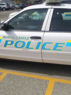 Annoying Squirrel Tops North Castle Police Blotter