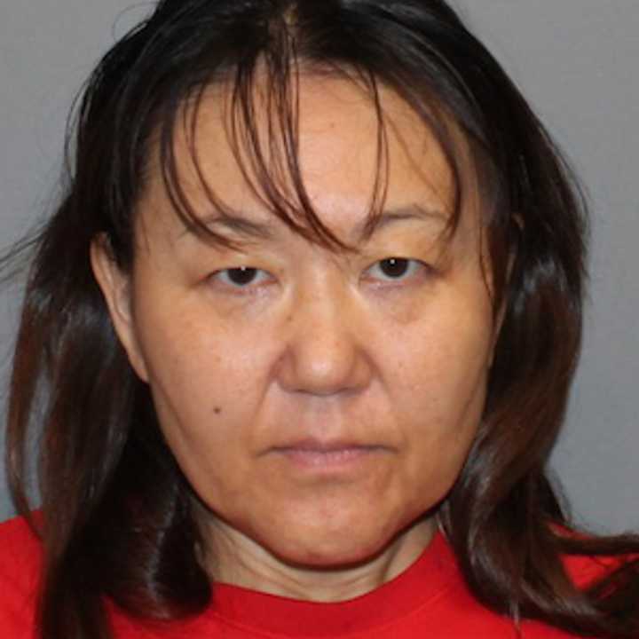 Hiroko Kurihara, 46, was charged with leaving her 4-month-old infant in a car with the windows rolled up.