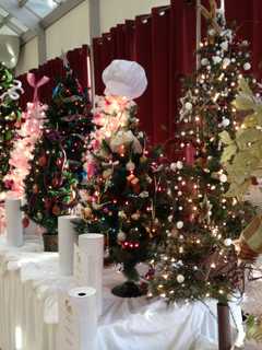 Roaring '20s Party Kicks Off Ann's Place Festival Of Trees In Danbury