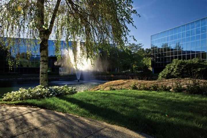 Marks Paneth Accounting Firm Relocates To Purchase