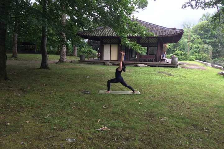Yoga Lessons Offered At Mount Kisco's Leonard Park