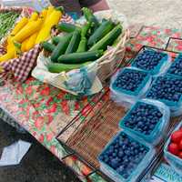 <p>Fruit and vegetables from Veronica&#x27;s Garden, of Ridgefield.</p>