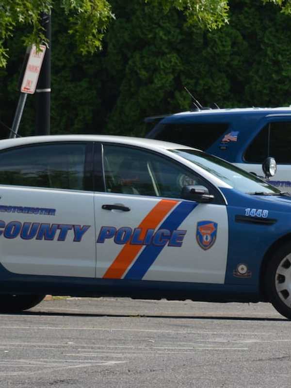 Apparent Burglary Attempt, Injured Cyclist Top Mount Kisco Police Reports