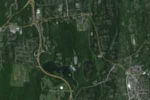 'No Confirmed Reports Of Gunfire' In FDR State Park Incident