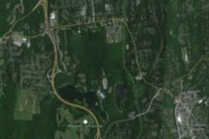 'No Confirmed Reports Of Gunfire' In FDR State Park Incident