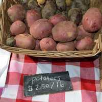 <p>Summer is perfect for potato salad. </p>