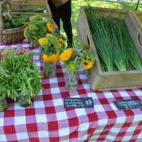 <p>Fresh items from the farm to the table </p>