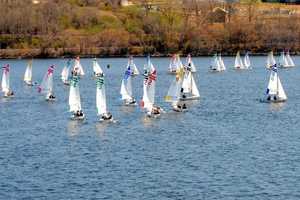 Stamford Schools Sailing Team Ends Season With Two First Place Wins