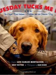 Rye Library Having Childrens Book Discussion Groups