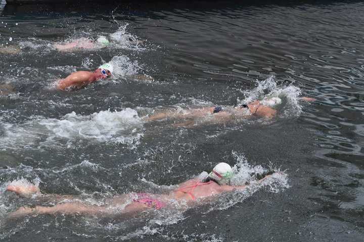 Fairfield Swimmers Tackle Sound To Fight Cancer