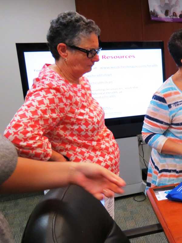 Westchester, Dutchess Among Counties With Highest Drug Overdose Deaths