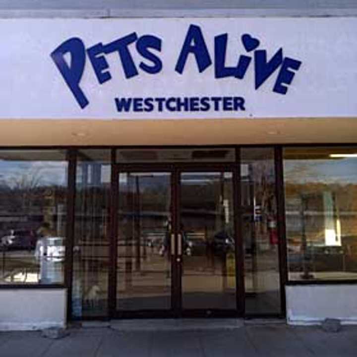 Pets Alive operates a &quot;no-kill&quot; shelter on Warehouse Lane in Elmsford, but has announced its closing due to building disrepair and financial problems. Greenburgh town officials and the SPCA of Westchester are discussing ways to save the shelter.