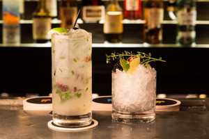 Mount Kisco' s Winston Gets In The
Spirit For National Tequila Day 