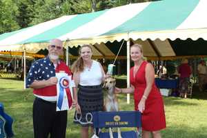 Putnam Kennel Club's Dog Shows A Hit