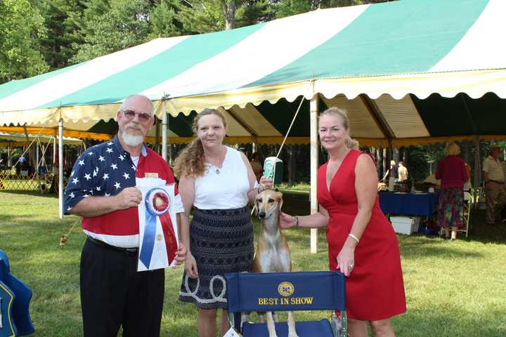 Putnam Kennel Club's Dog Shows A Hit
