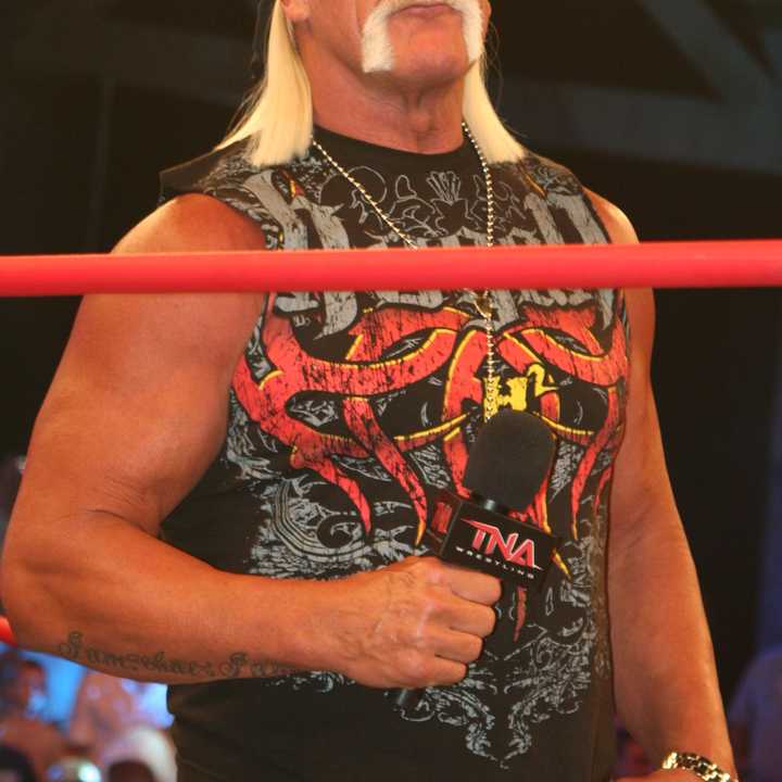 Stamford&#x27;s WWE has severed ties with Hulk Hogan.