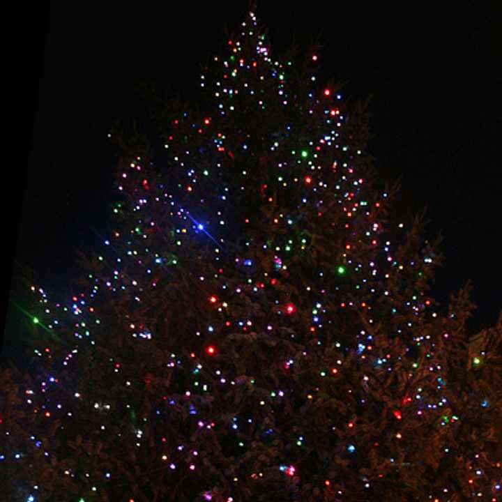 Danbury will host a tree lighting and day of holiday activities Saturday.